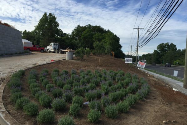 commercial-landscaping-installation-001